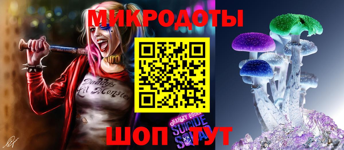 Грозный  Галлюциногенные грибы мицелий  Вход с VPN 